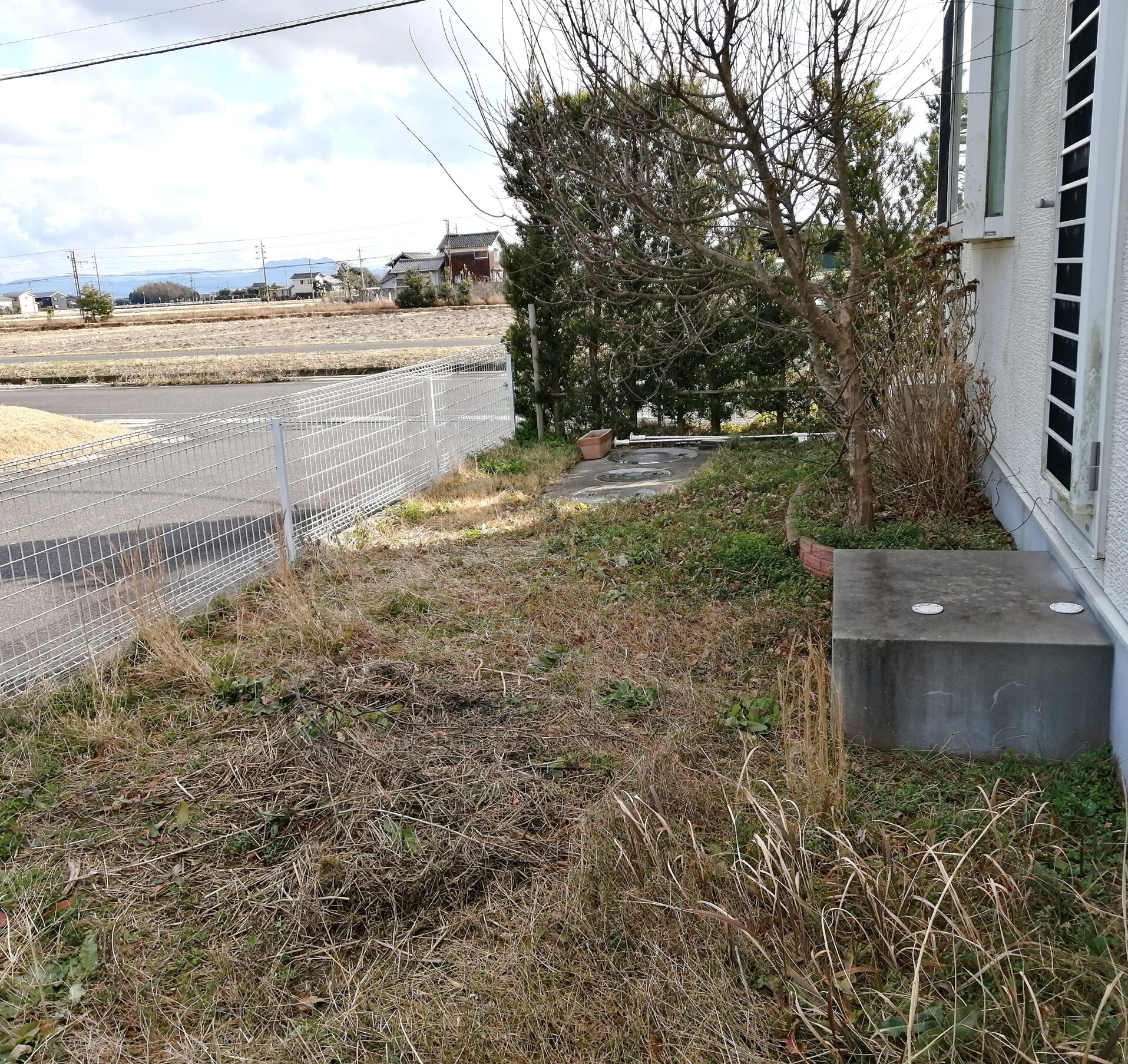 松江市 外構リフォーム 雑草が茂った庭の施工前の様子