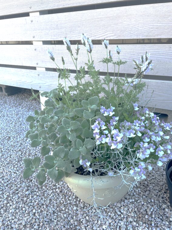 松江市 外構デザイン 鉢植えの植栽で彩る玄関まわり